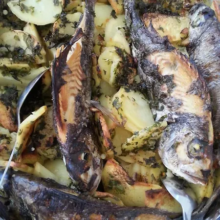 Ursula * Rogoznica (Sibenik-Knin)